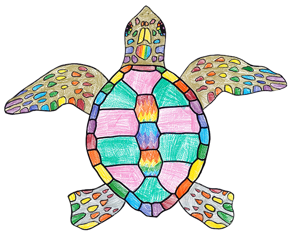 Drawing of a Sea Turtle