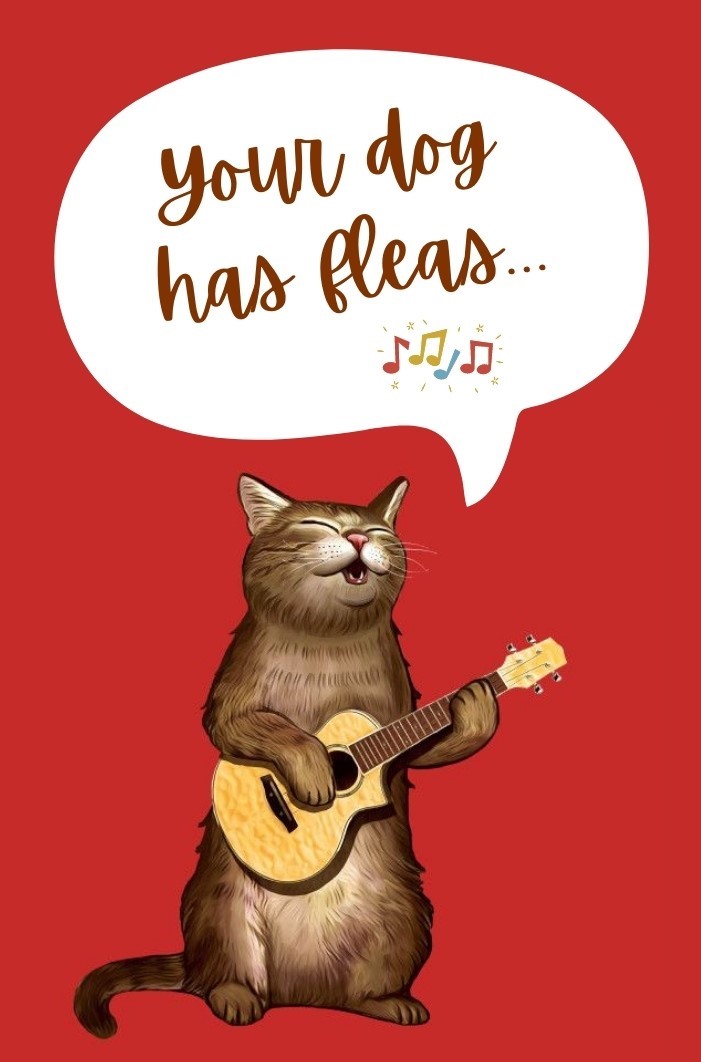 cartoon cat playing ukulele