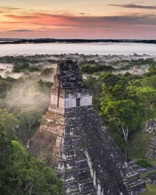 Jaguar temple in the jungle of Guatemala with fog lifting from trees