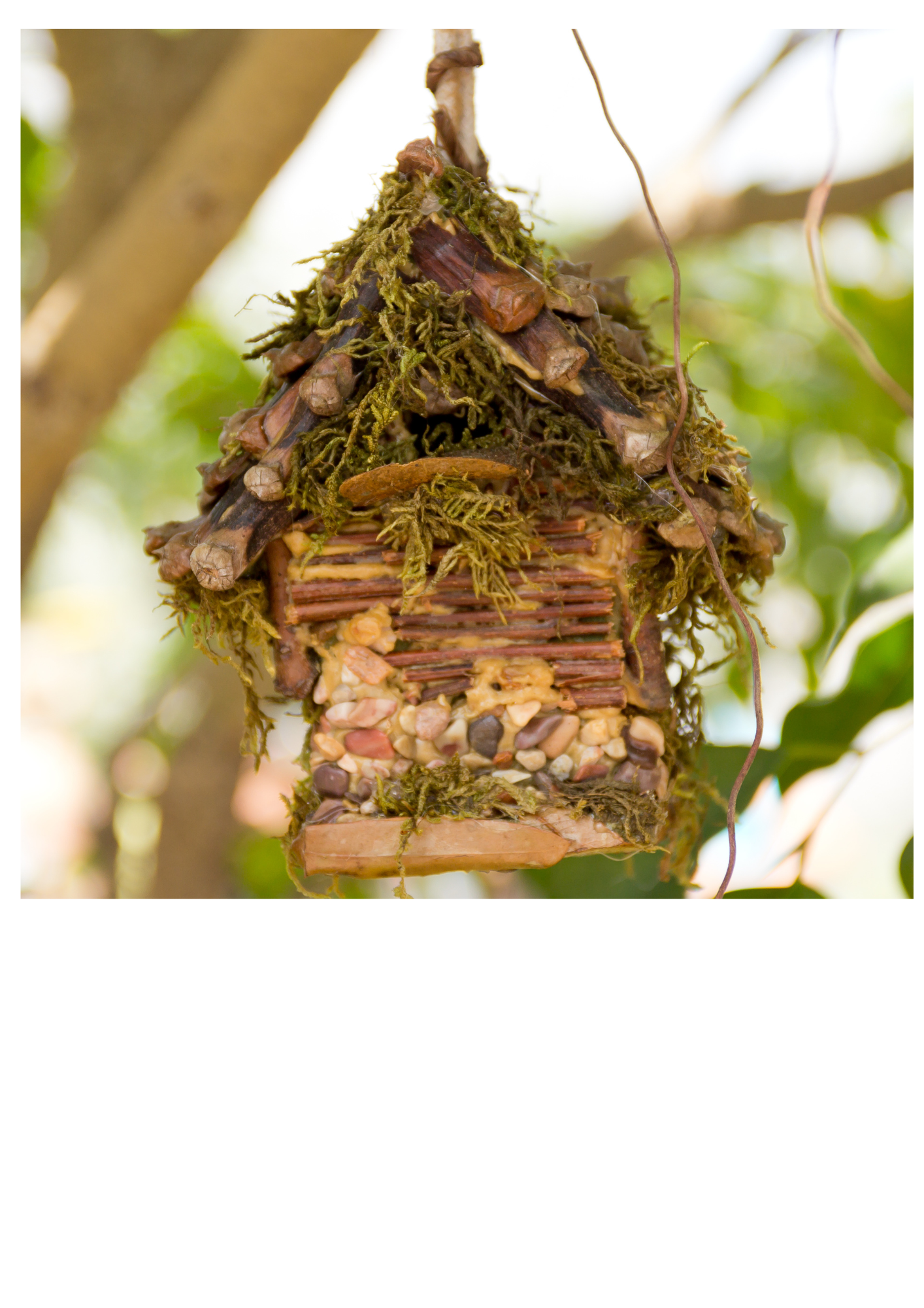 fairy house made of natural materials: bark, sticks, moss, rocks