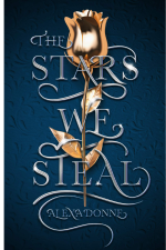 Book Cover The Stars We Steal by Alex Donne