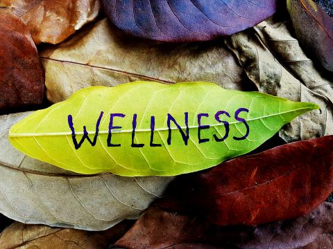 The word "wellness" on a green leaf