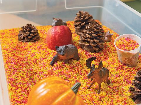 Fall theme sensory bin with pine cones, pumpkins, animal figures, and colorful rice.