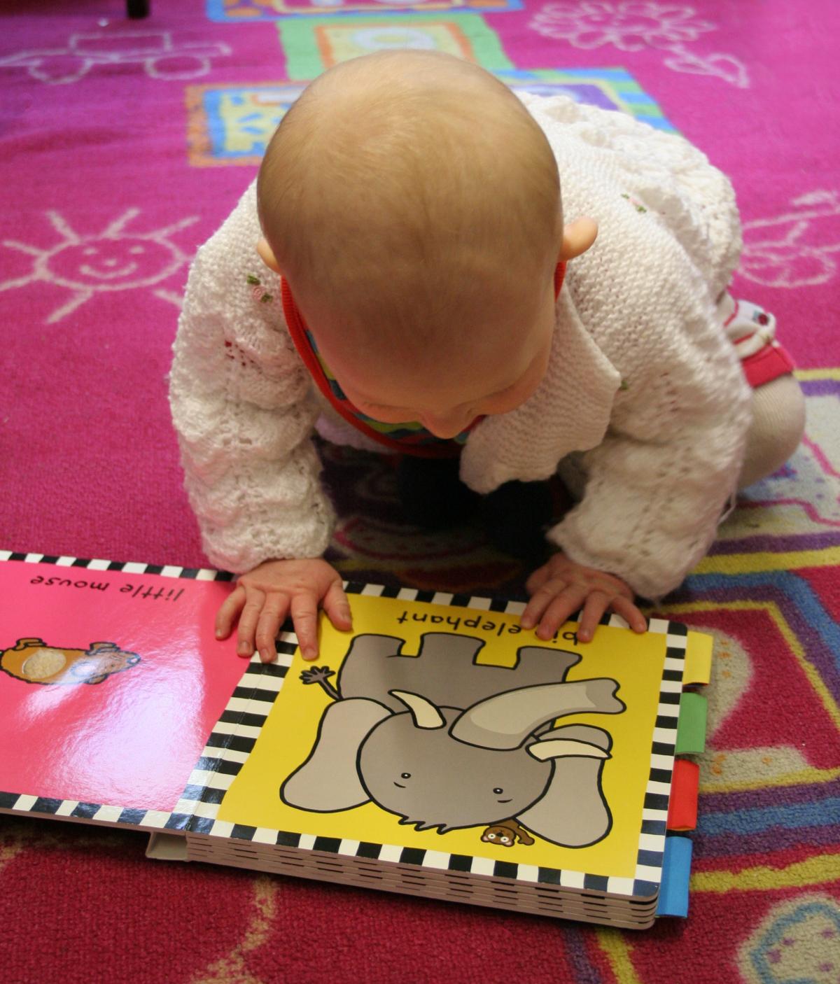 Baby looking at picture book